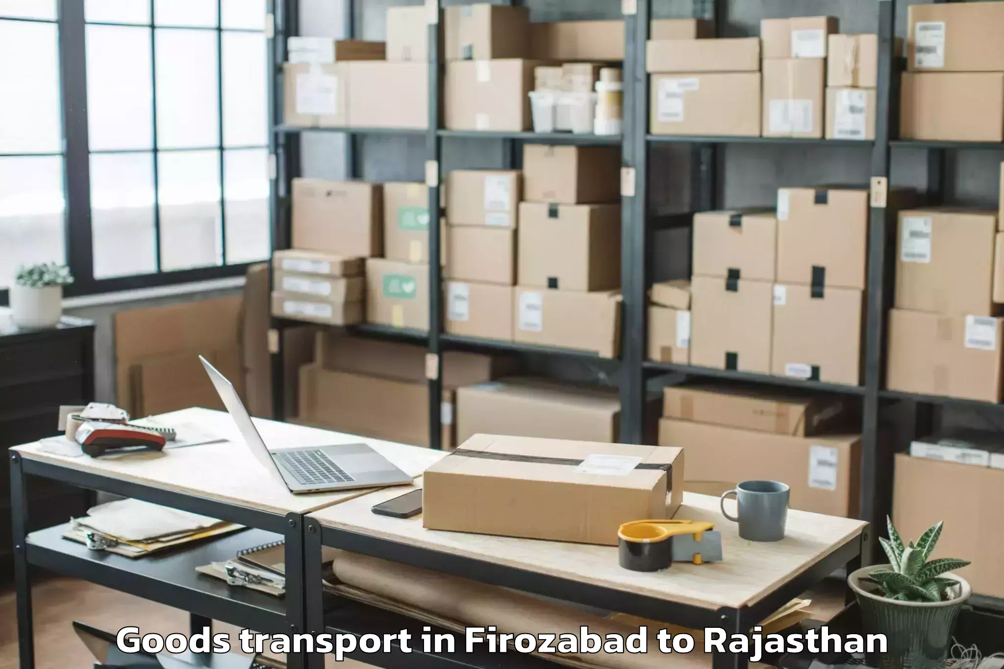 Affordable Firozabad to Bhasawar Goods Transport